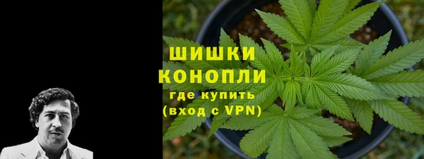 амф Аркадак