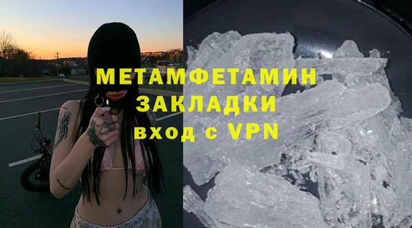 прущие грибы Россошь